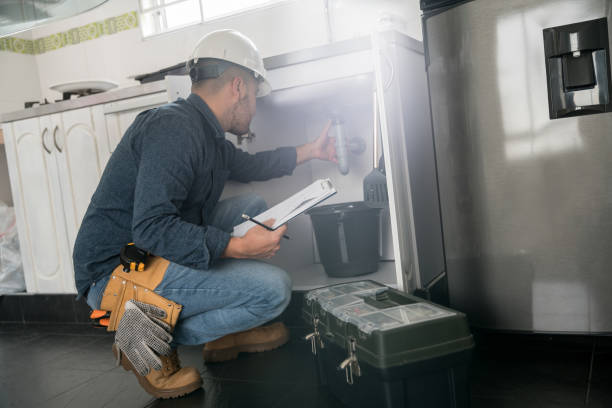 Best Clogged Drain Plumber  in Ramona, CA